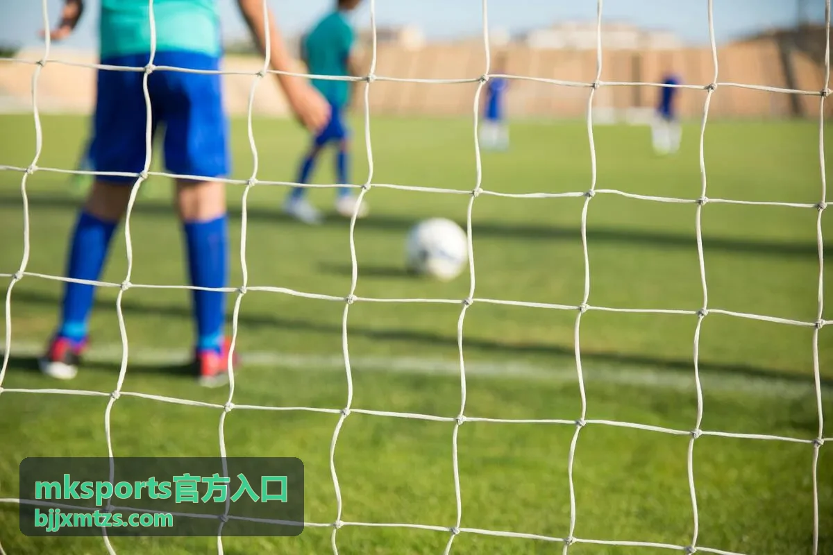 mksports官方入口访问方式说明封面
