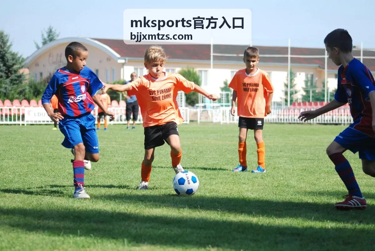 mksports官方入口新手帮助内容资源图
